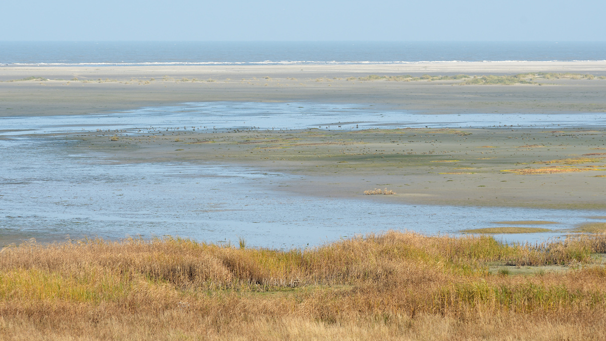 Ameland, overzicht van het Ballummerstrand