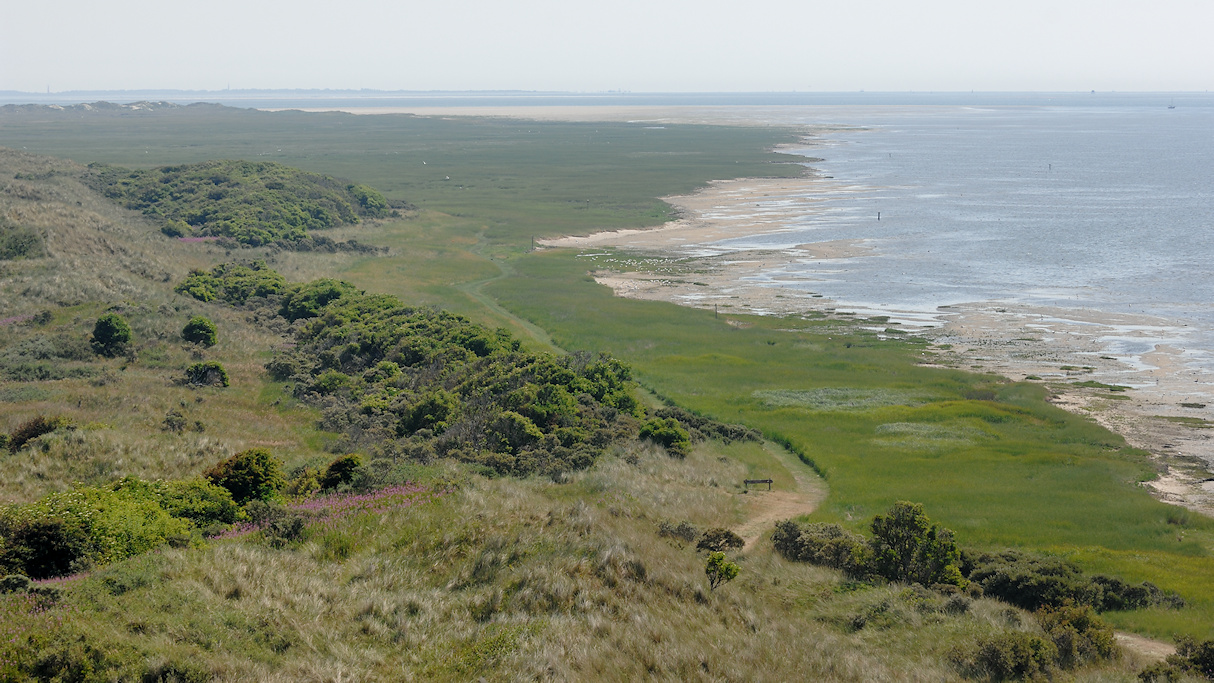Ameland, uitzicht vanaf de Blinkert over de Kwelder en Oerderduinen