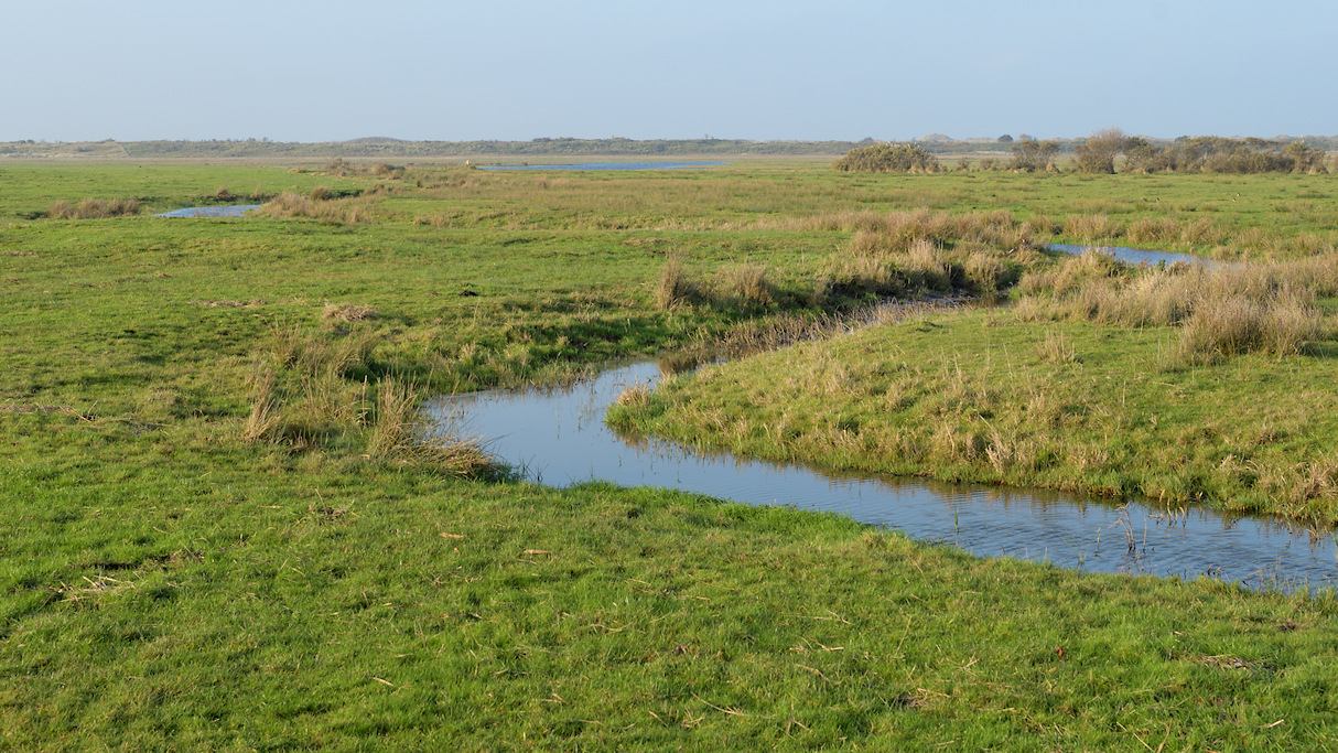 Ameland, Slenk tussen Nes en Ballum