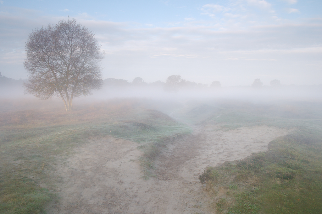 Holle weg op de heide