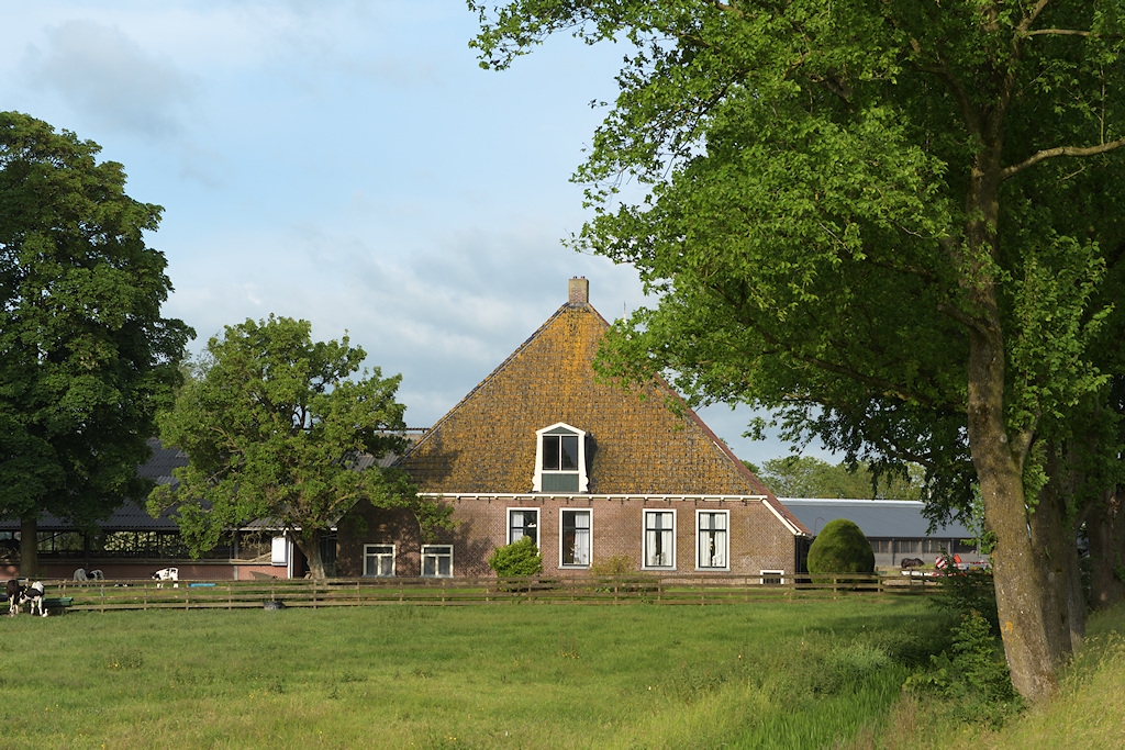 De Stelpboerderij van T Reitsma bij Skillaerd