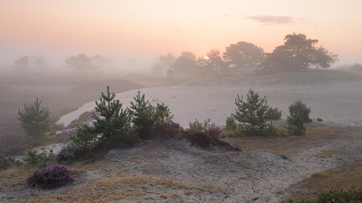 Zonsopkomst boven het Aekingerzand
