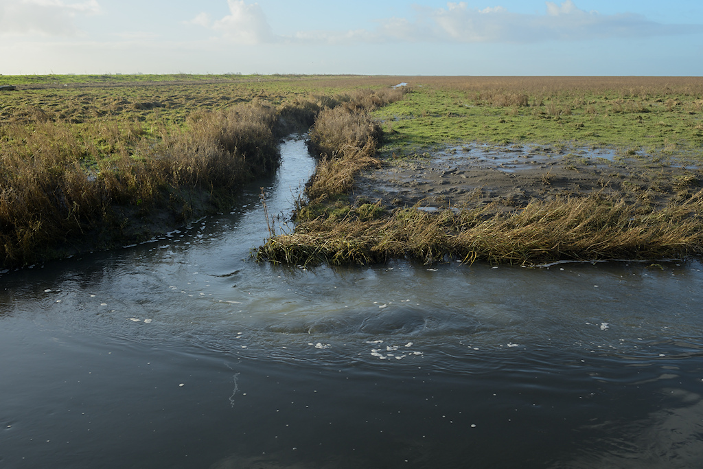 Half natuurlijke priel in voormalige landaanwinning
