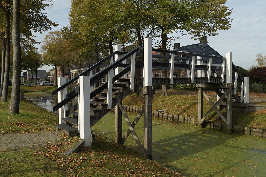 Hooghout over de Moark in Rinsumageast