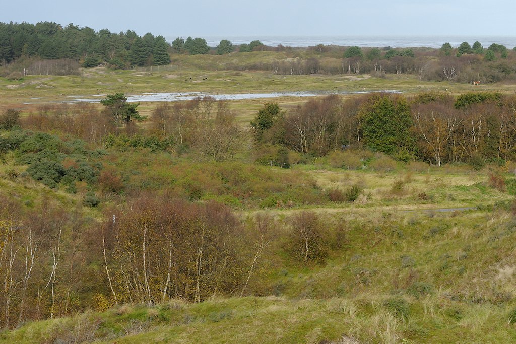 Schiermonnikoog, uitzicht vanaf bunker Wassermann