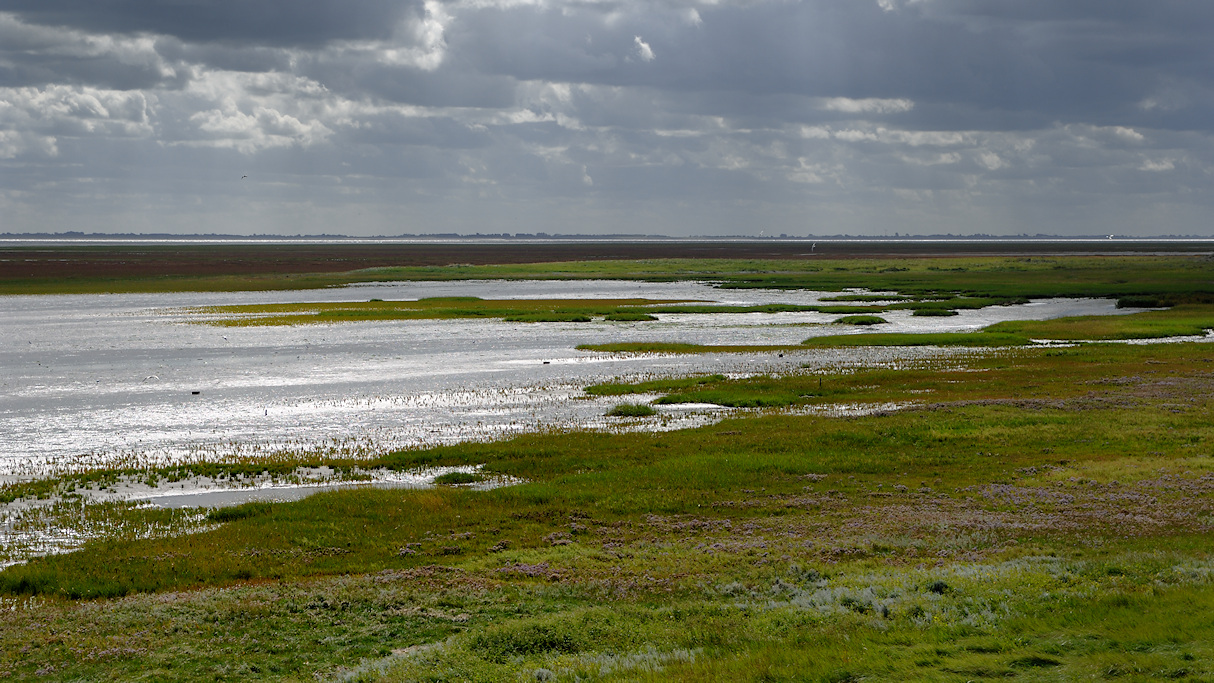 Schiermonnikoog, het Rif
