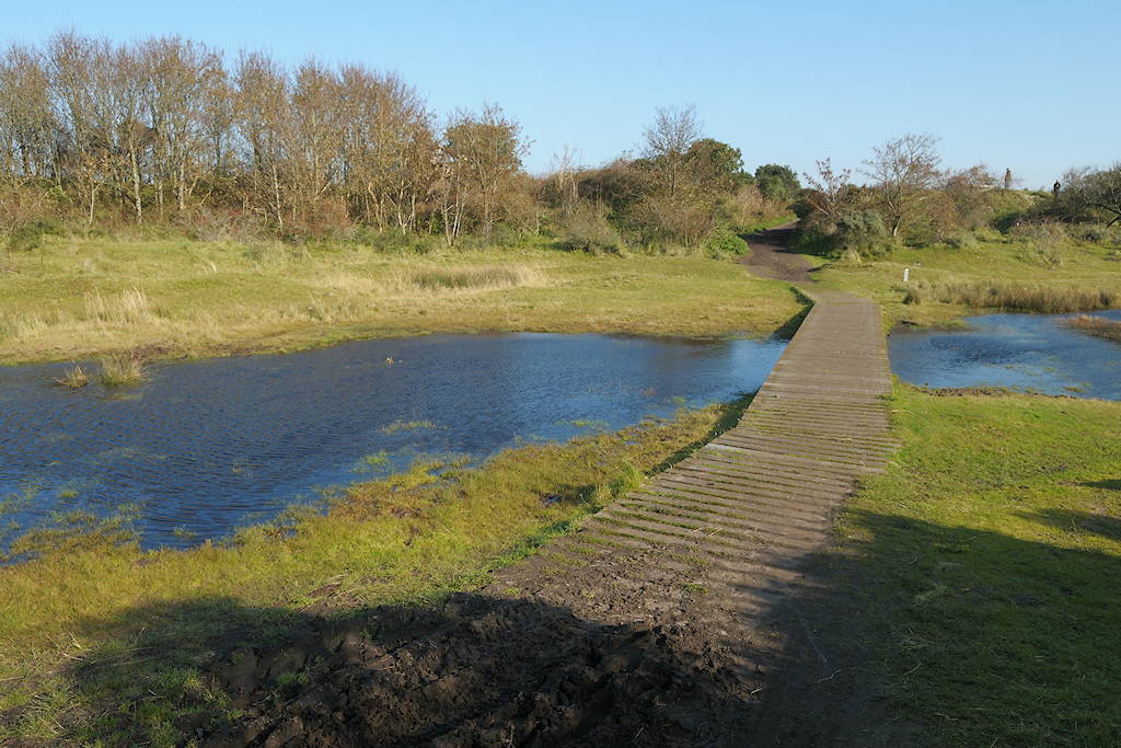 Schiermonnikoog, vlonderpad door de Kobbeduinen