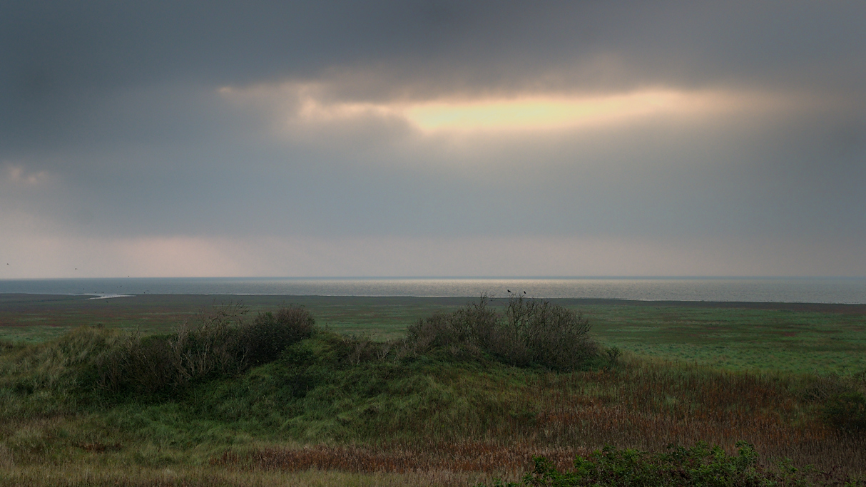 Ochtendstemming vanaf een oogduin op de kwelder van Schiermonnikoog