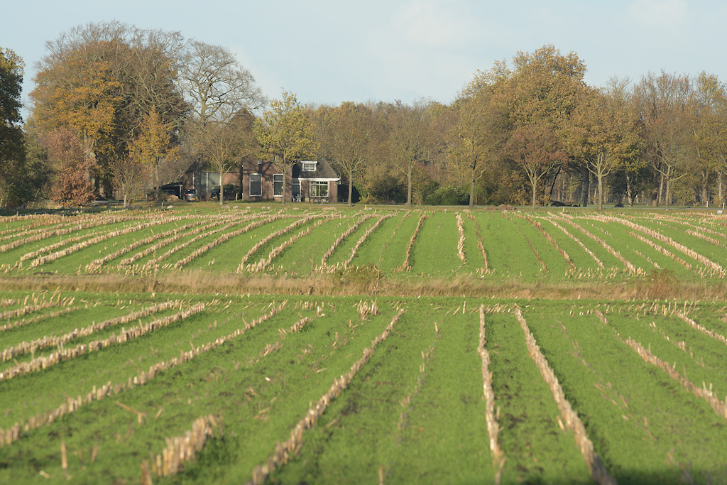 Siegerswoude ligt op een dekzandrug
