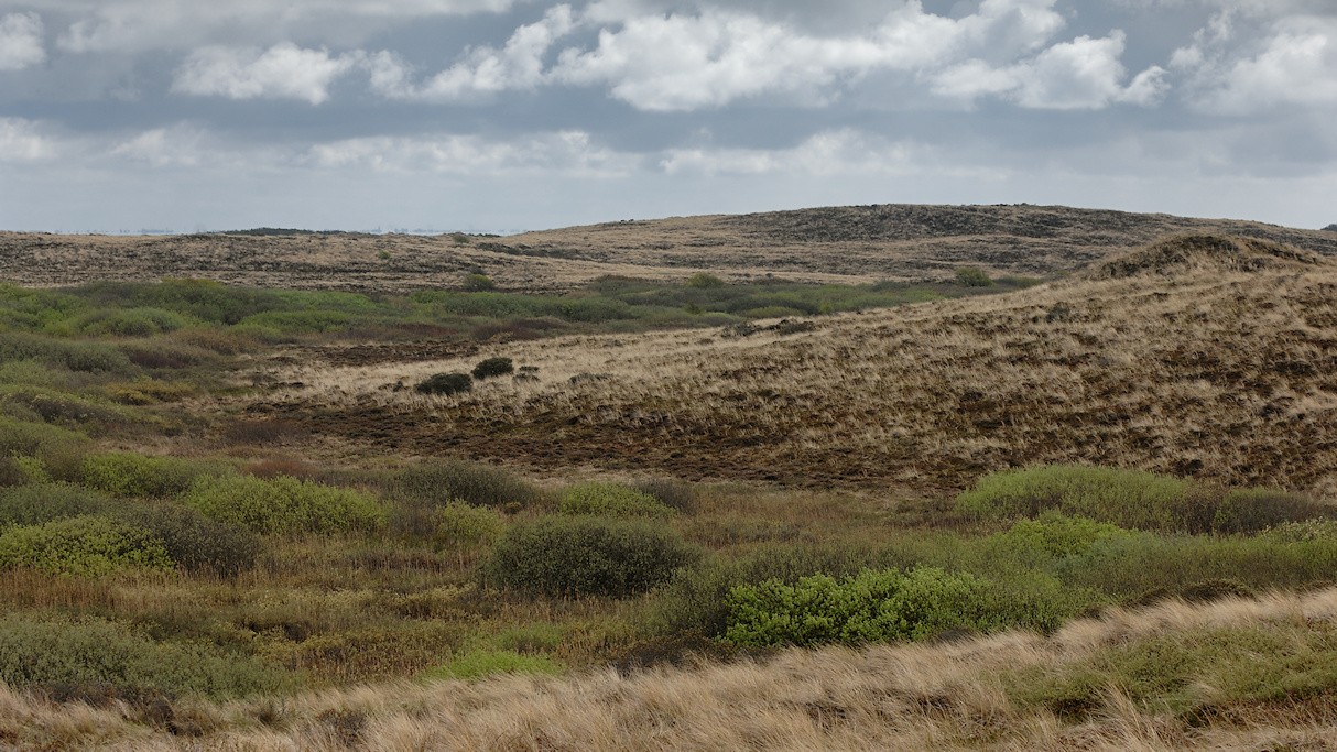 Terschelling, grijze duinen en duinvallei de Dazenplak
