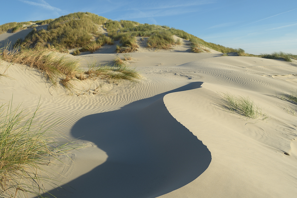Stuivende Witte duinen bij de Boschplaat