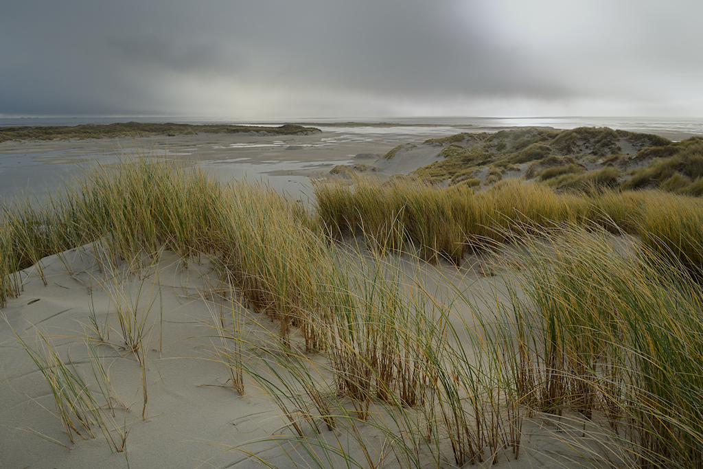 De duinen van de Tweede Stuifdijk op de Noordsvaarder