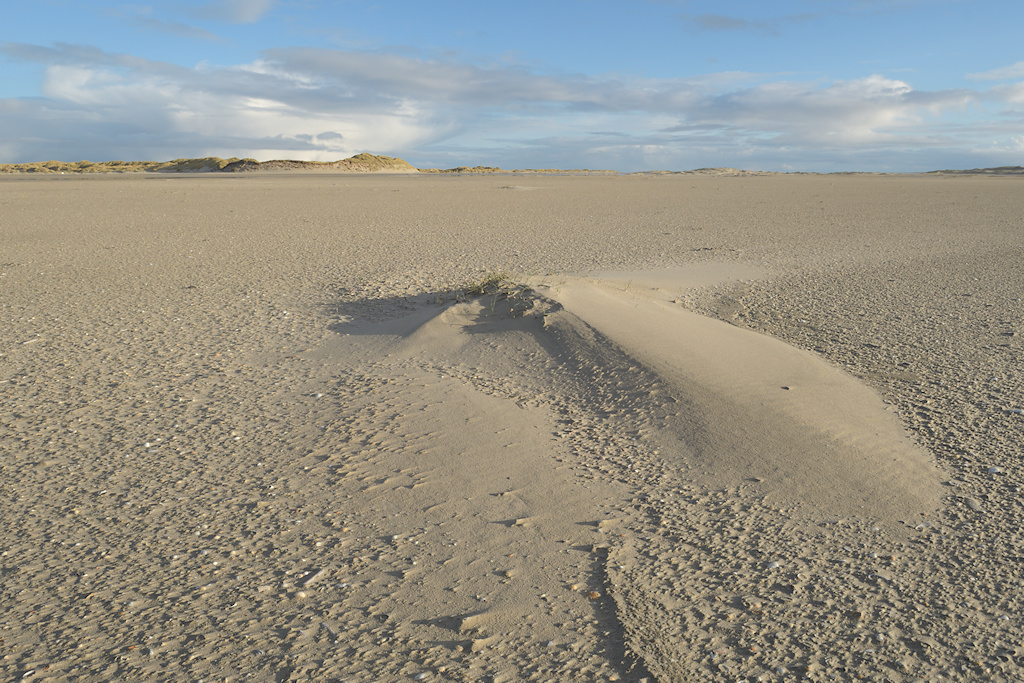 Strandvlakte met stuifduin op de Noordsvaarder