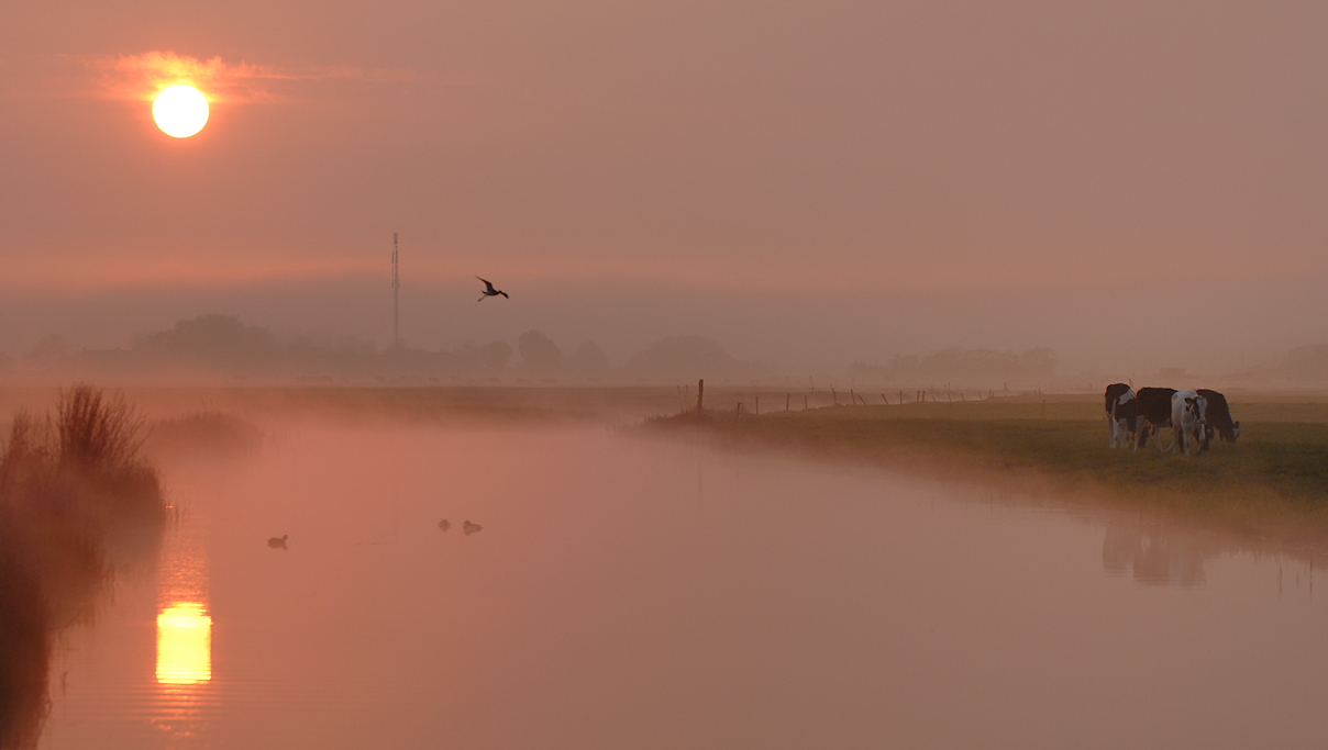 Terschelling, avondstemming in de polder bij Hoorn