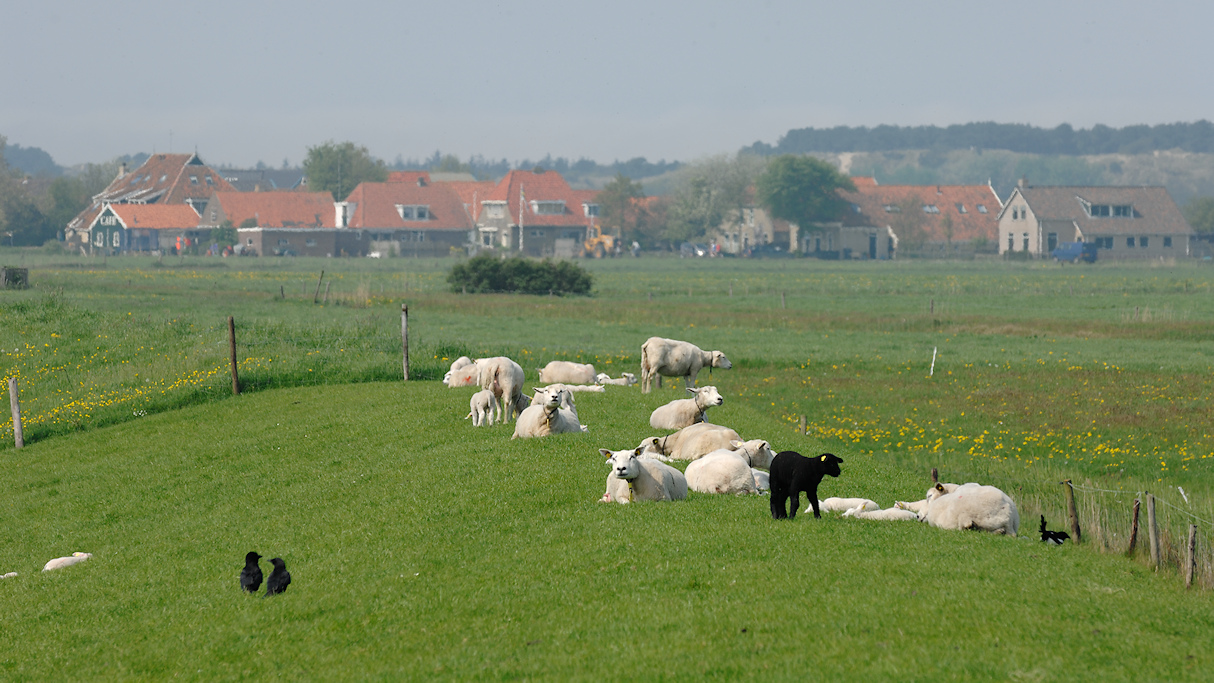 Terschelling, uitzicht over de Stryperdyk naar Baaiduinen