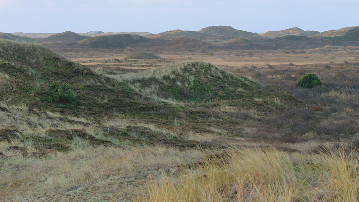 Bleekersvallei Texel