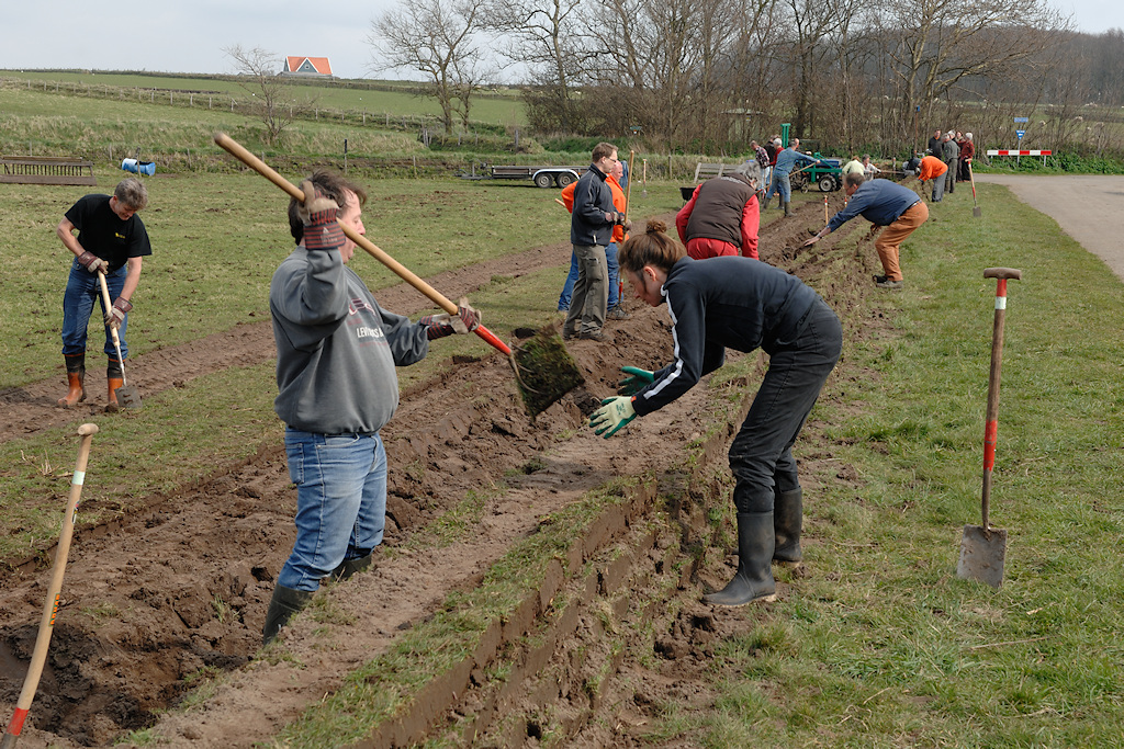 Herstel van een Tuunwal op Texel