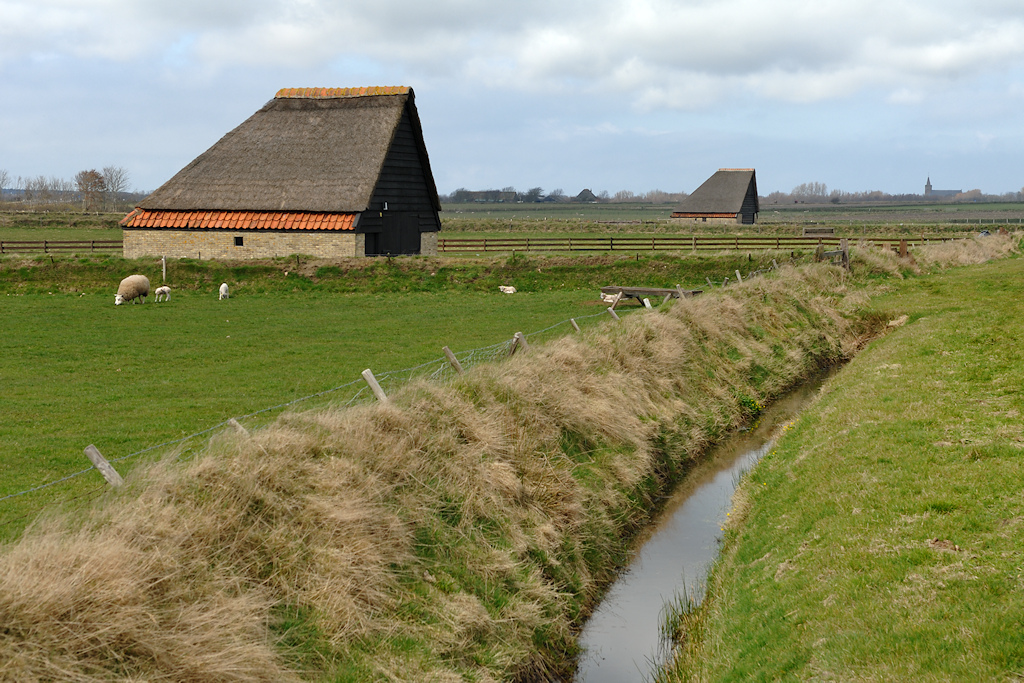 Texel, Tuunwallen en Schapenboet