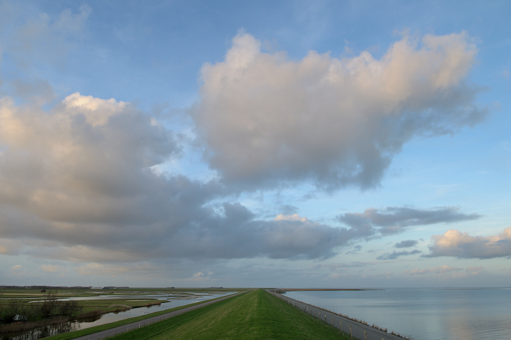 Texel - Utopia, vogelgebied aan de zeedijk