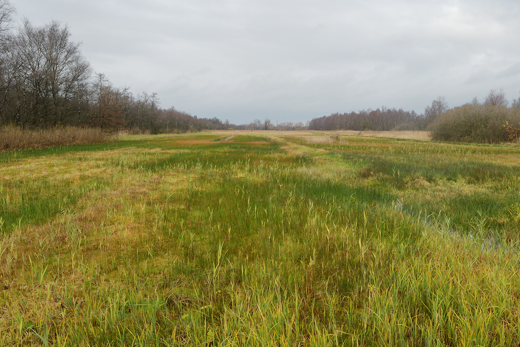 Trilveen, Rottige Meente