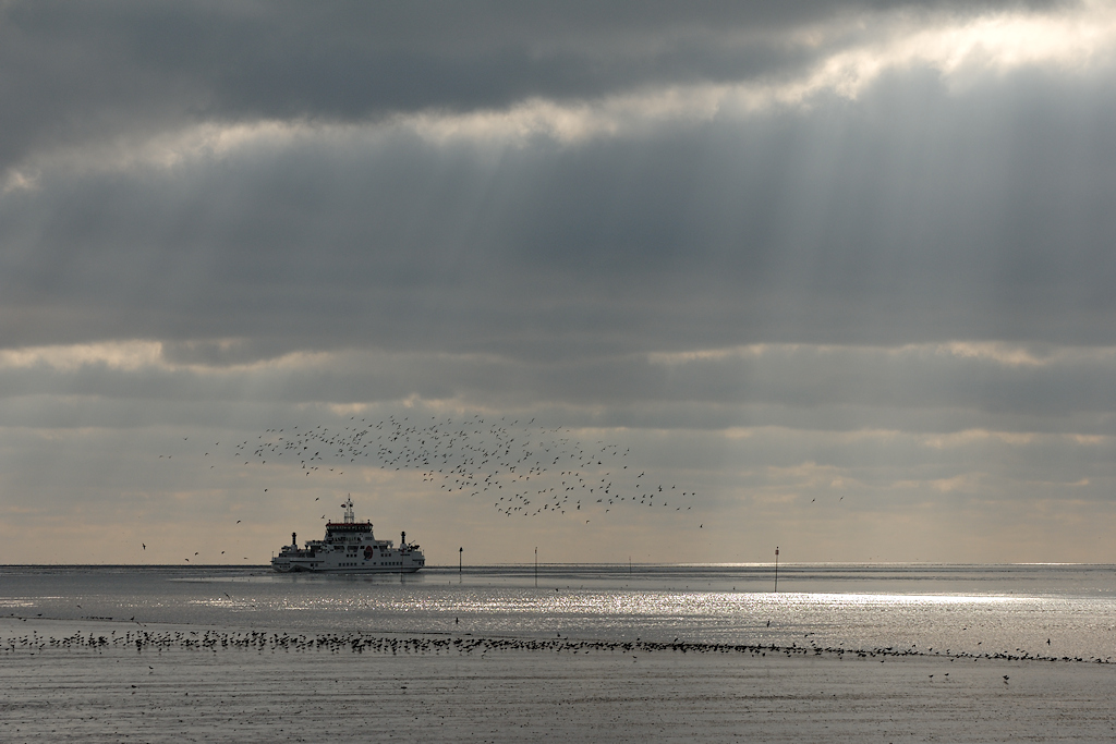 Veerdienst voor het vervoer naar de Waddeneilanden