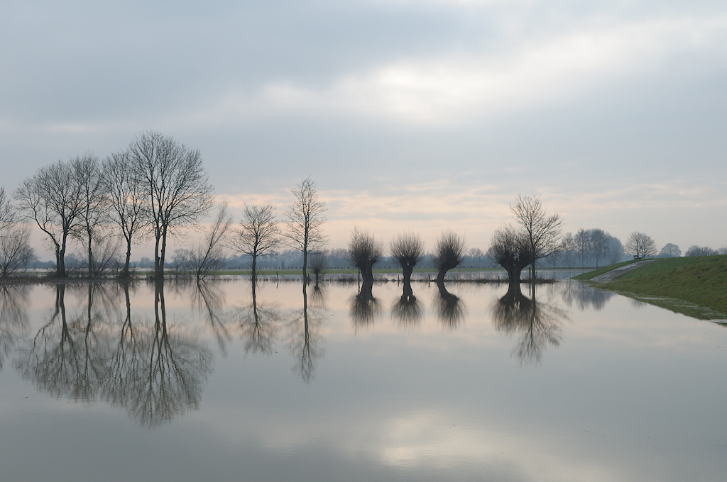 Bomen spiegelen in het rimpelloze water langs de IJsseldijk bij Veessen