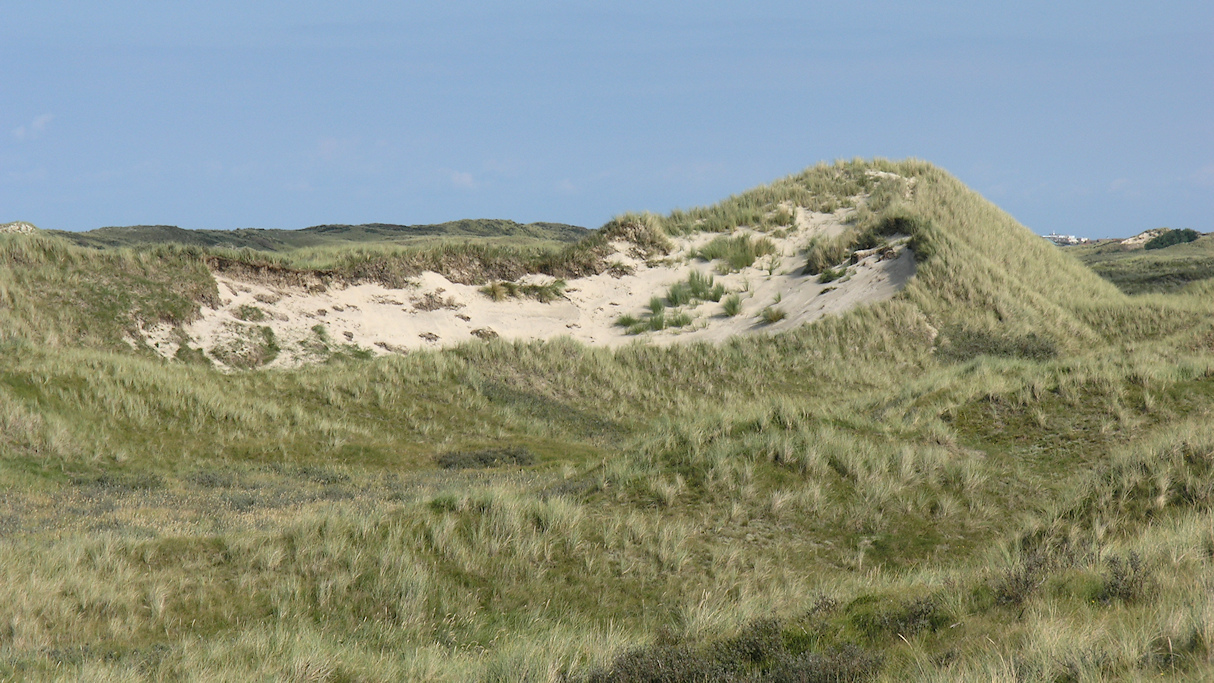 Parboolduin op Vlieland