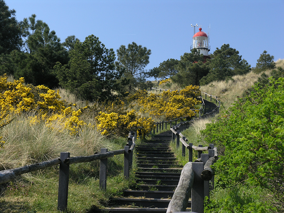Vuurtorenduin Vlieland