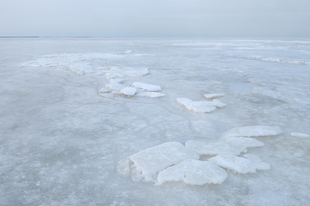 Bevroren Waddenzee