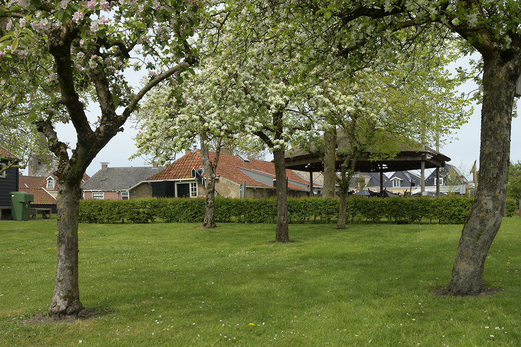 Boomgaard bij de Oud Friese Greidboerderij in Wartena