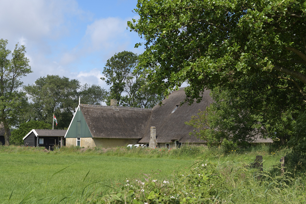 Wieringer boerderij in Stroe