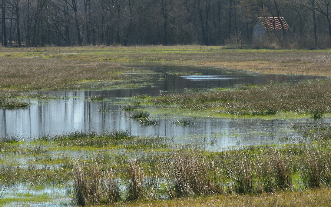 Centrale Slenk in het Wijnjeterper Schar