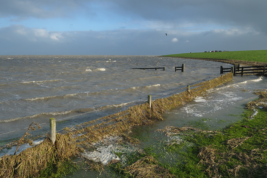 Stormvloed tegen de zeedijk