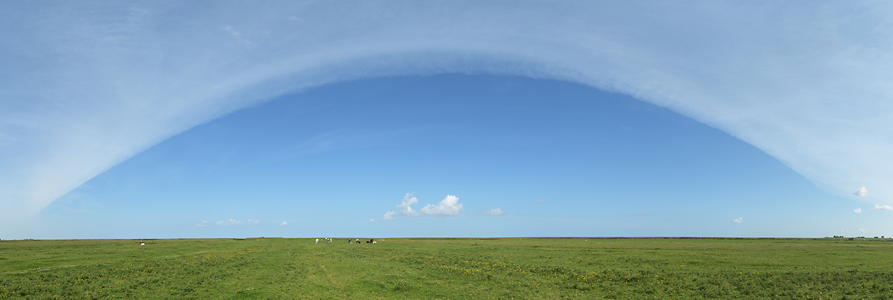 Zomerpolder de Bokkepollen bij Marrum