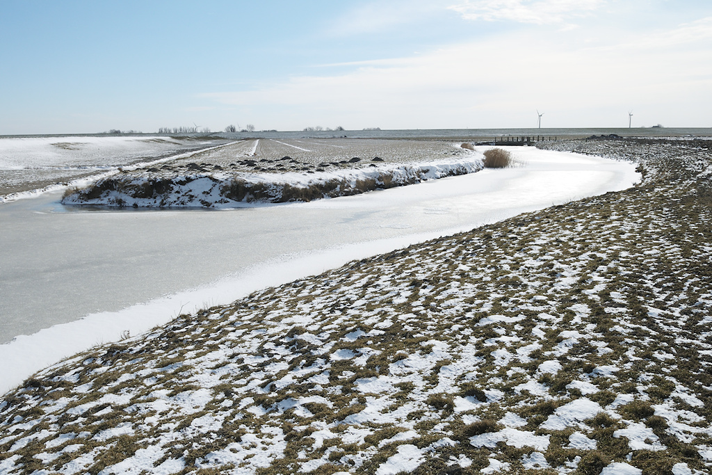Winterbeeld van de zomerpolders