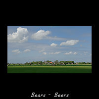 Bears, Beers