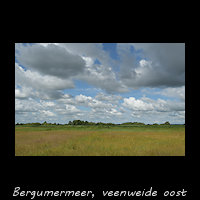 Venige graslanden aan de oostkant van het Bergumermeer