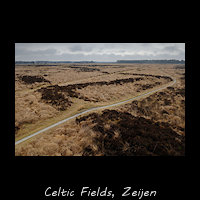 Celtic fields bij Zeijen