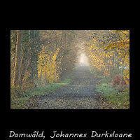 Damwoude, Johannes Durksloane