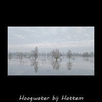 Hoogwater bij Hattem