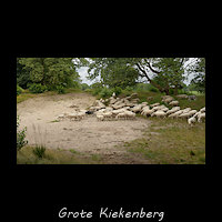 Grote Kiekenberg, een rivierduin in het dal van de Tjonger
