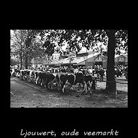 Oude Leeuwarder veemarkt rond 1940