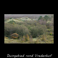 Duingebied rond Vredenhof vanaf bunker Wasserman