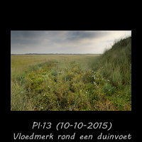 Vloedmerk rond een duinvoet