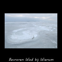 Het bevroren Wad bij Wierum