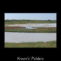 De Kroon's polders