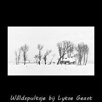 Wâldhúske in sneeuwlandschap winter 1939/40