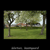 Boomgaard bij de Oud Friese Greidboerderij in Wartena