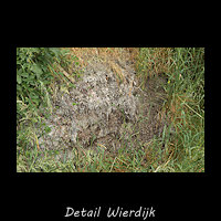 Detail van de Wierdijk van Wieringen