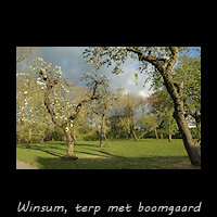 Winsum, terp met boomgaard